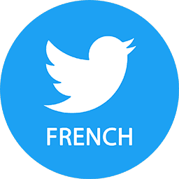 View Pricing French Followers